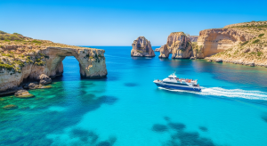 Comino Bird Watching